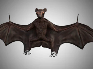 murci&eacute;lago realista de baja poli, muy detallado y aparejado Modelo 3D