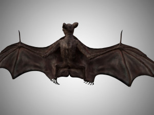 realistic high detailed rigged low poly bat 3D Model