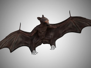 realistic high detailed rigged low poly bat 3D Model