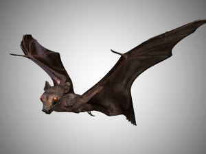 realistic high detailed rigged low poly bat 3D Model