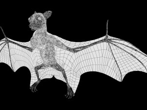 realistic high detailed rigged low poly bat 3D Model