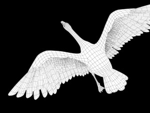goose rigged low poly 3D Model
