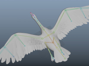goose rigged low poly 3D Model