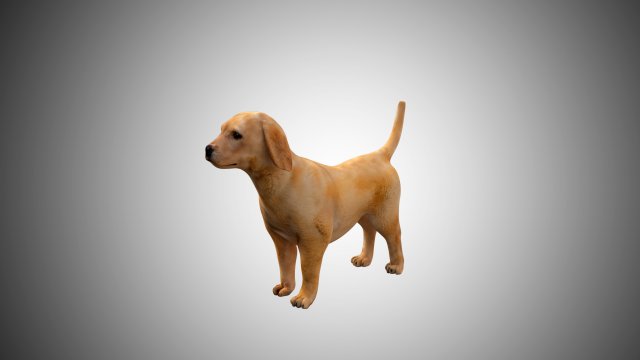 puppy rigged low poly model 3D 模型 .c4d .max .obj .3ds .fbx .stl .blend 