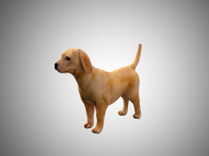 puppy rigged low poly model 3Dモデル