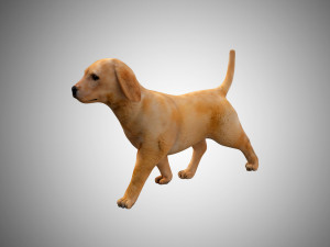 puppy rigged low poly model 3D 模型