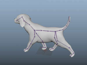 puppy rigged low poly model 3D 模型