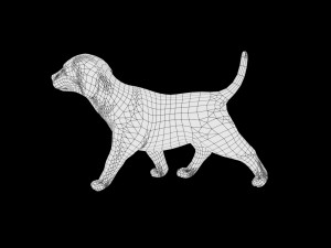 puppy rigged low poly model 3D 模型