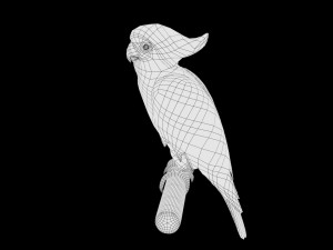 cockatoo low poly rigged 3D Модель