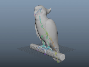 cockatoo low poly rigged 3D Модель