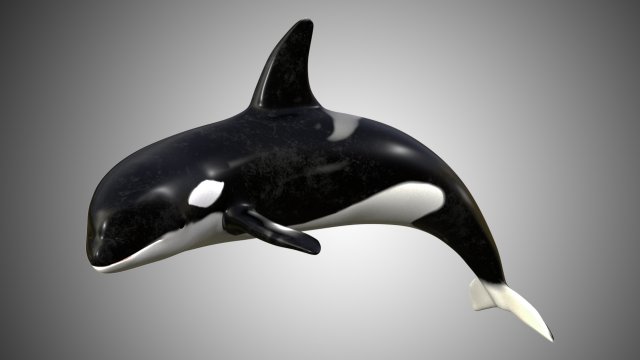 whale low poly rigged Modelo 3D .c4d .max .obj .3ds .fbx .stl .blend 