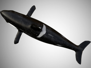 whale low poly rigged Modelo 3D