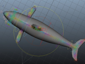 whale low poly rigged Modelo 3D