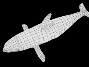 whale low poly rigged Modelo 3D