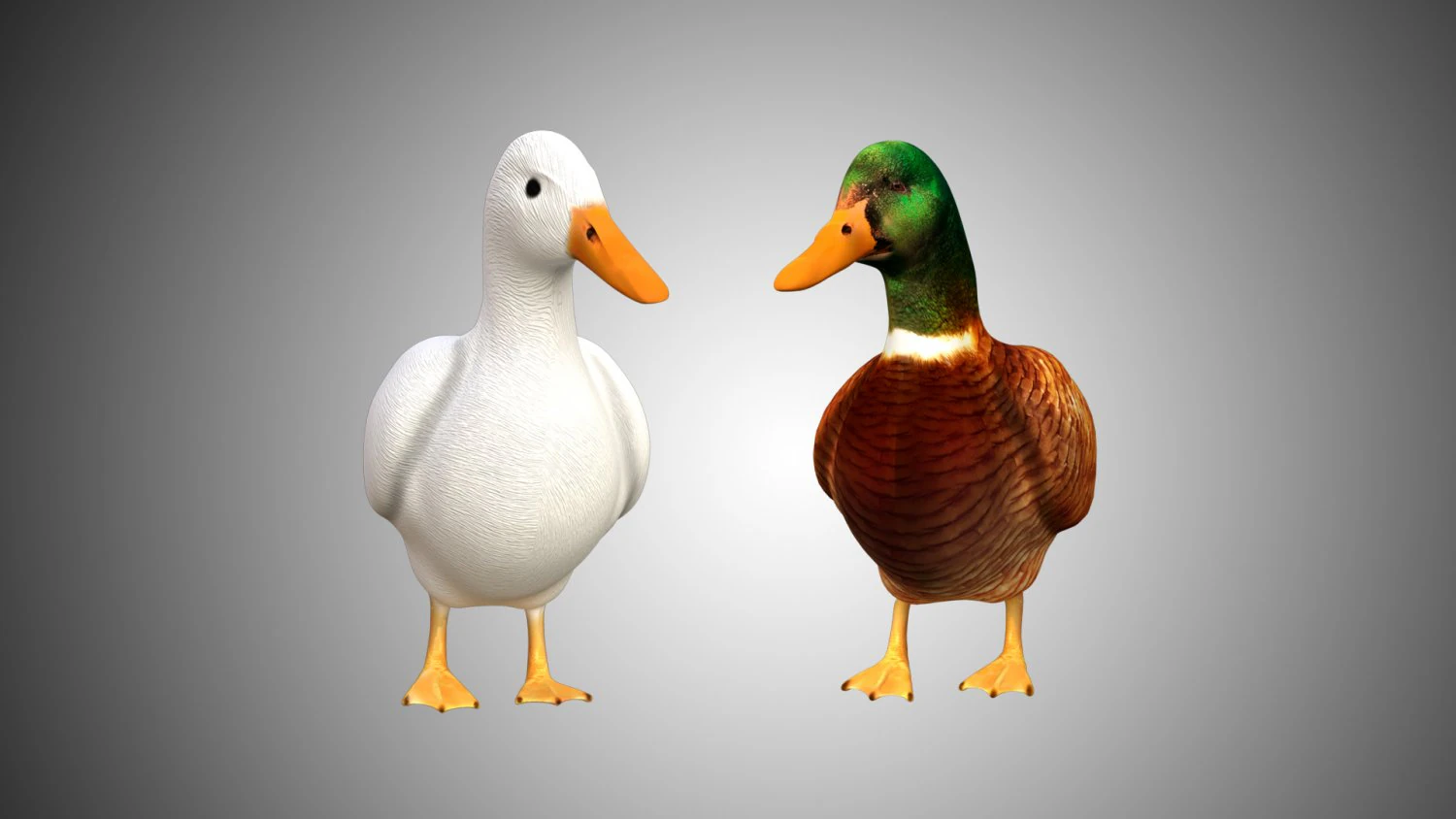 duck collection rigged and low poly 3D Model .c4d .max .obj .3ds .fbx .stl .blend