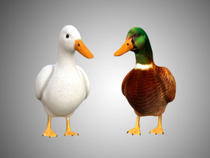 duck collection rigged and low poly 3D Model