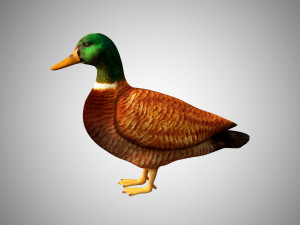 duck collection rigged and low poly Modelo 3D