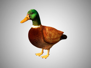 duck collection rigged and low poly Modelo 3D