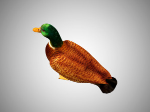 duck collection rigged and low poly Modelo 3D