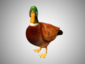 duck collection rigged and low poly Modelo 3D