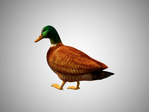 duck collection rigged and low poly Modelo 3D