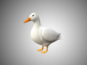 duck collection rigged and low poly Modelo 3D