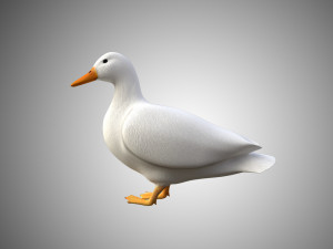 duck collection rigged and low poly Modelo 3D