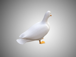 duck collection rigged and low poly Modelo 3D