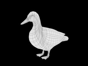 duck collection rigged and low poly 3D Model
