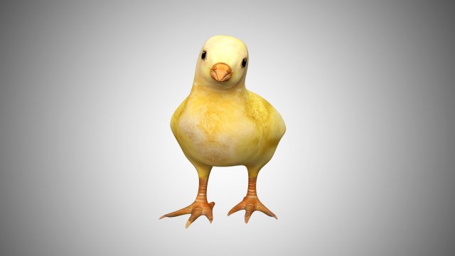 chick collection rigged and low poly Modello 3D .c4d .max .obj .3ds .fbx .stl .blend 