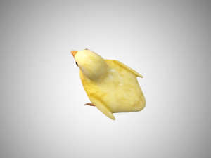 chick collection rigged and low poly Modello 3D