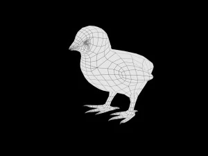 chick collection rigged and low poly 3D Model