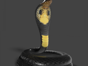 Cobra Snake 3d model - CadNav