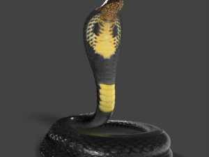 serpiente cobra rey baja poli Modelo 3D