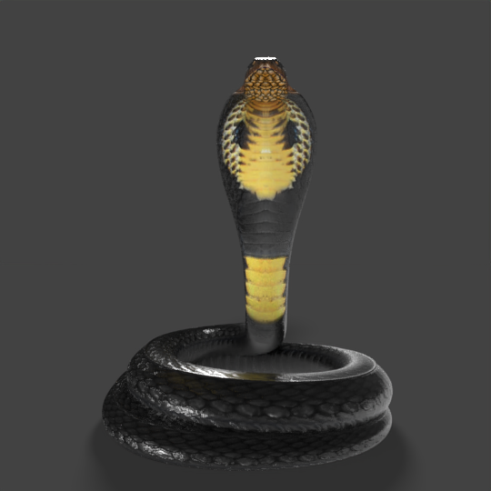 Snake cobra - Buy Royalty Free 3D model by explorertit36@gmail.com (@paydi)  [f53cc02]