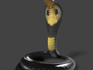 king cobra snake low poly 3D Model