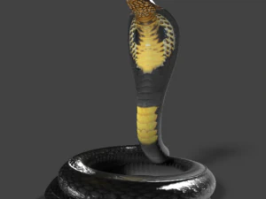 king cobra snake low poly 3D Model