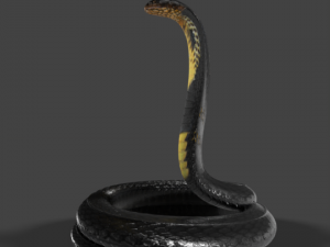 king cobra snake low poly 3D Model