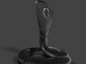 king cobra snake low poly 3D Model