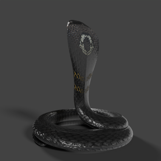 King Cobra Snake, Hobby Lobby