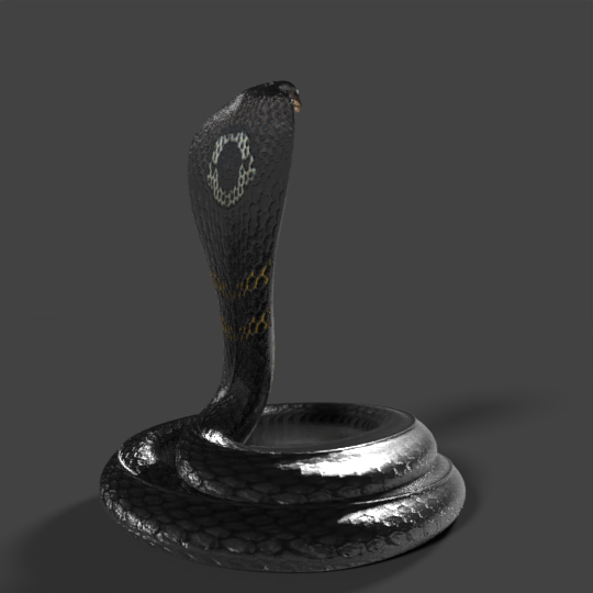 Snake 3D Model $129 - .fbx .blend .obj .unknown - Free3D