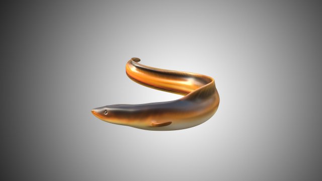 electric eel rigged low poly Modello 3D .c4d .max .obj .3ds .fbx .stl .blend 