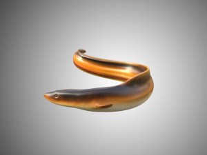 electric eel rigged low poly 3D Модель