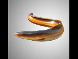 electric eel rigged low poly Modello 3D