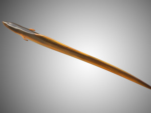 electric eel rigged low poly Modello 3D