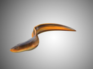 electric eel rigged low poly Modello 3D
