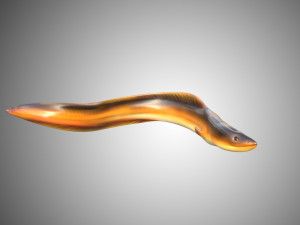 electric eel rigged low poly Modello 3D