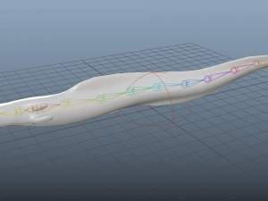 electric eel rigged low poly Modello 3D