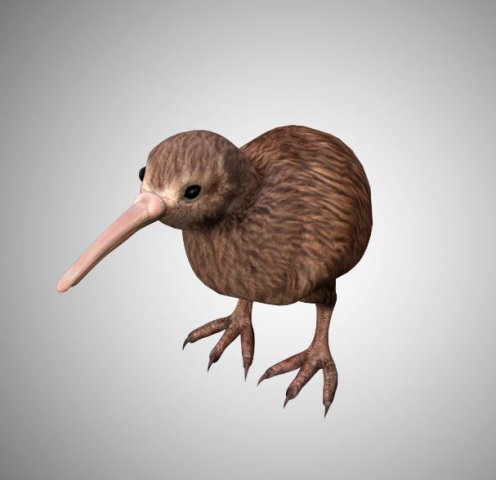 realistic kiwi rigged low poly 3D 모델 .c4d .max .obj .3ds .fbx .stl .blend 