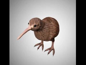 kiwi r&eacute;aliste truqu&eacute; low poly Modèle 3D
